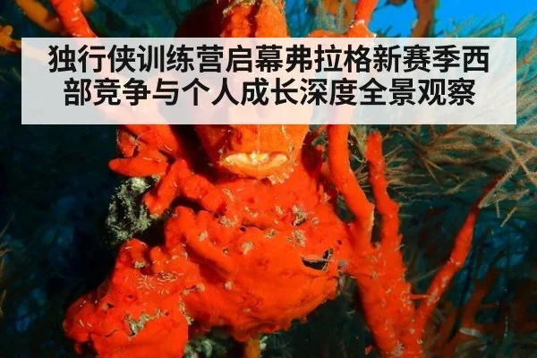 独行侠训练营启幕弗拉格新赛季西部竞争与个人成长深度全景观察