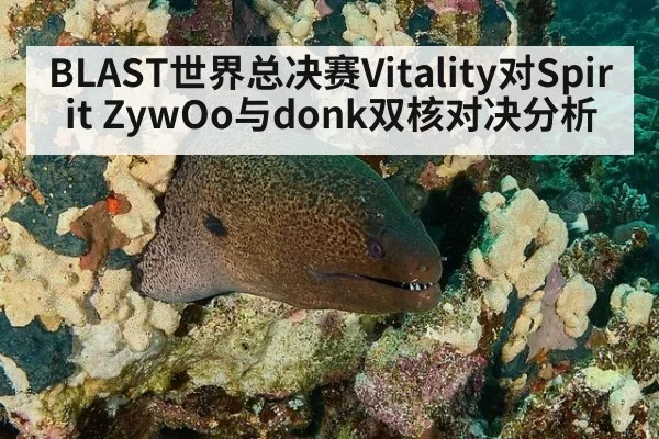 BLAST世界总决赛Vitality对Spirit ZywOo与donk双核对决分析